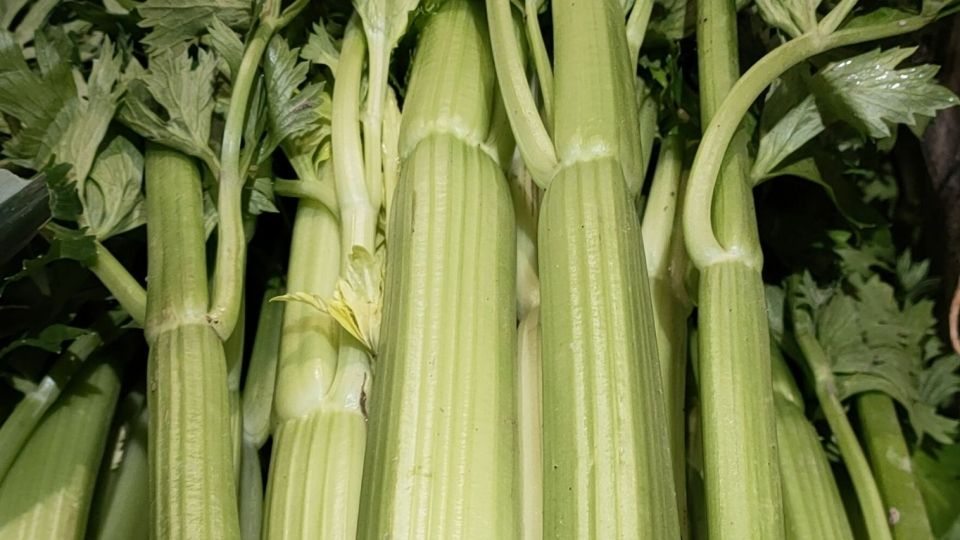 celerie