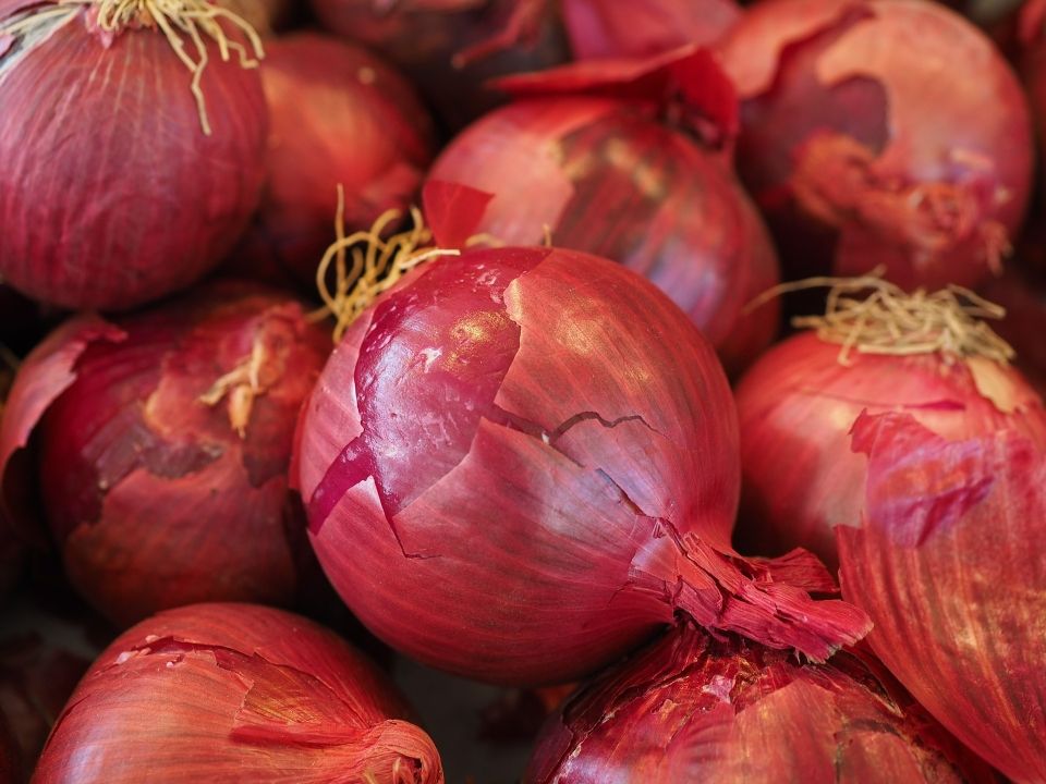 red-vegetable-onions-gef8843a7c_1920